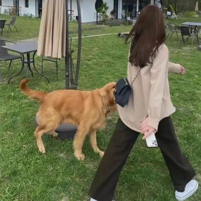 石膏男孩